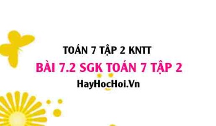 Bài 7.2 SGK Toán 7 tập 2 Kết nối tri thức